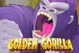 Golden  Gorilla width=