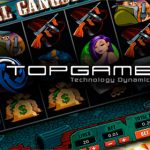TopGame software provider