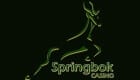 Springbok Casino Small Logo