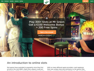 Mr Green Casino PC