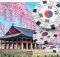 South Korea Welcomes Tourists