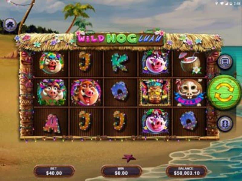 Screenshot Wild Hog Luau