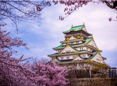 Istana Osaka di musim bunga sakura penuh