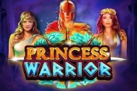 logo of Princess Warrior Online Slot