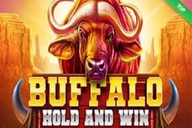 Buffalo Hold and Win Online Slot screenshot