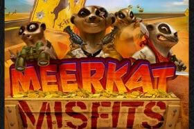 Meerkat Misfits Online Slots Game logo