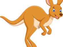 a cartoon drawing of a kangaroo with a brown coat and light belly, wide blue eyes, and a large happy smile