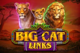 Big-Cat-Links-Slot-Game-Logo