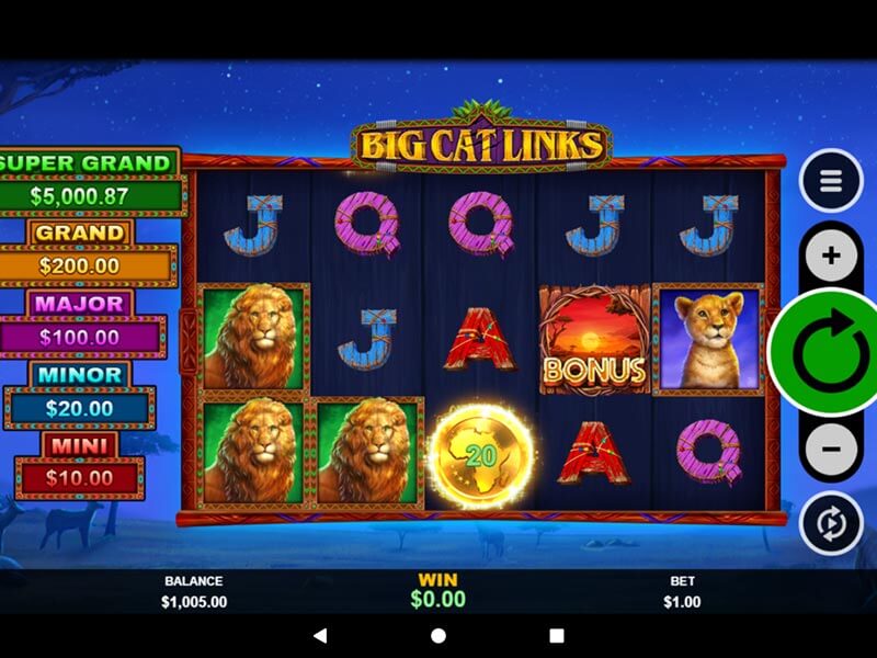 big-cat-links-game-screenshot